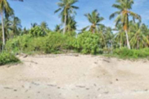 Land in Ko Lanta Yai, Thailand 36800 sq.m. № 169276 - photo 3