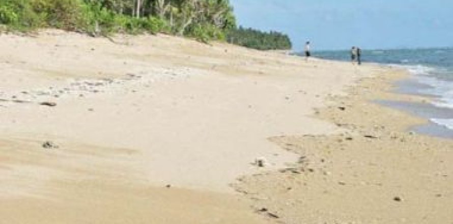 Land in Ko Lanta Yai, Thailand 36800 sq.m. № 169276