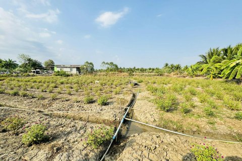 Terrain à Nakhon Pathom, Thaïlande 1600 m2 № 149868 - photo 5