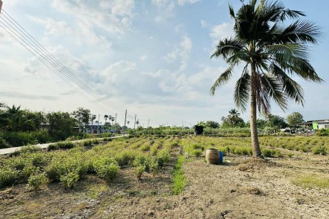 Terrain à Nakhon Pathom, Thaïlande 1600 m2 № 149868 - photo 4