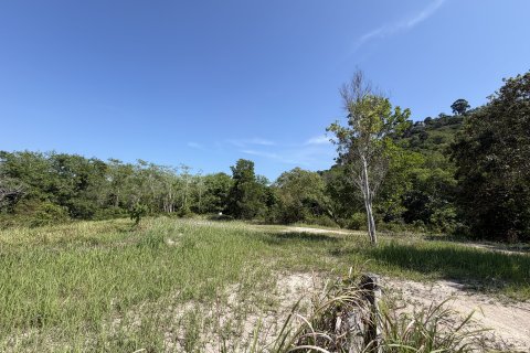 Земельный участок в Пхукете, Таиланд 3200м2  № 171895 - фото 6