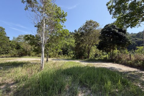 Земельный участок в Пхукете, Таиланд 3200м2  № 171895 - фото 7