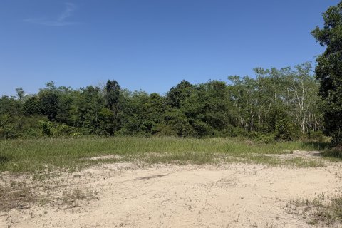 Земельный участок в Пхукете, Таиланд 3200м2  № 171895 - фото 3