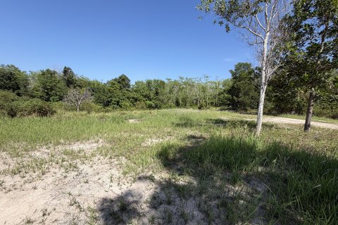 Земельный участок в Пхукете, Таиланд 3200м2  № 171895 - фото 9