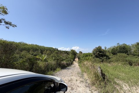 Земельный участок в Пхукете, Таиланд 3200м2  № 171895 - фото 10