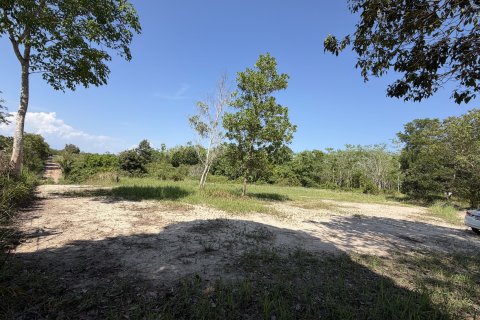 Земельный участок в Пхукете, Таиланд 3200м2  № 171895 - фото 5