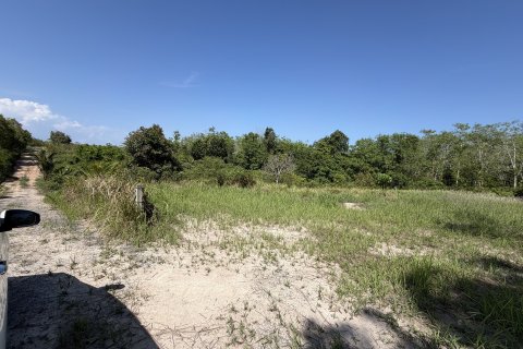 Земельный участок в Пхукете, Таиланд 3200м2  № 171895 - фото 8