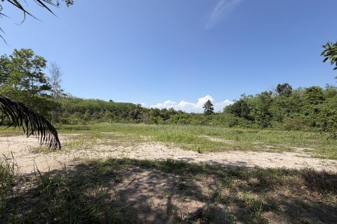 Земельный участок в Пхукете, Таиланд 3200м2  № 171895 - фото 2