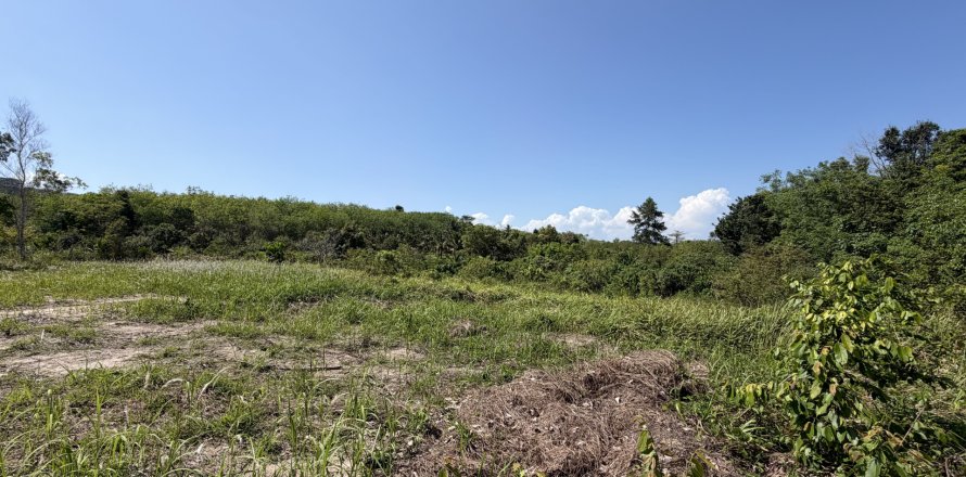 Земельный участок в Пхукете, Таиланд 3200м2  № 171895