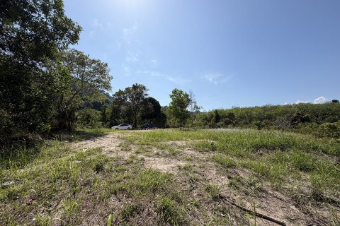 Земельный участок в Пхукете, Таиланд 3200м2  № 171895 - фото 4