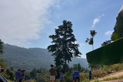 Terrain à Ko Samui, Thaïlande 54400 m2 № 141373 - photo 1