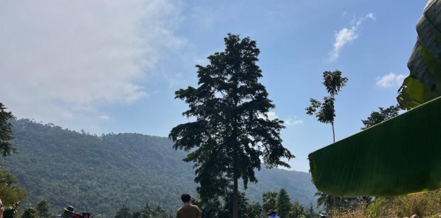 Terrain à Ko Samui, Thaïlande 54400 m2 № 141373