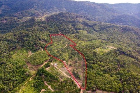 Terrain à Ko Samui, Thaïlande 54400 m2 № 141373 - photo 3