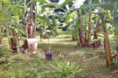 House in Kanchanaburi, Thailand 2 bedrooms № 141374 - photo 22