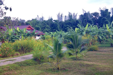 House in Kanchanaburi, Thailand 2 bedrooms № 141374 - photo 24