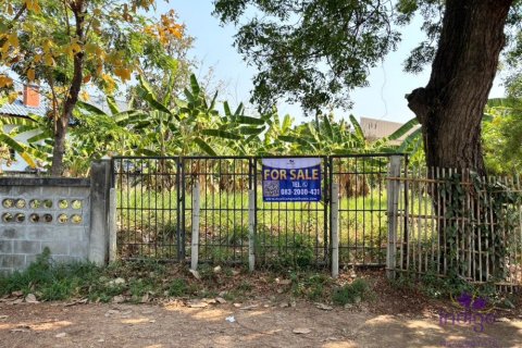 Земельный участок в Чиангмае, Таиланд  № 162645 - фото 10