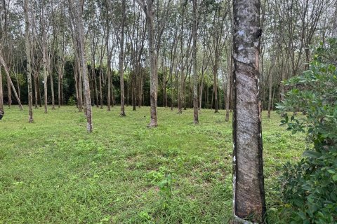 Terrain à Phuket, Thaïlande 11200 m2 № 163643 - photo 13