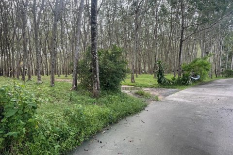 Terrain à Phuket, Thaïlande 11200 m2 № 163643