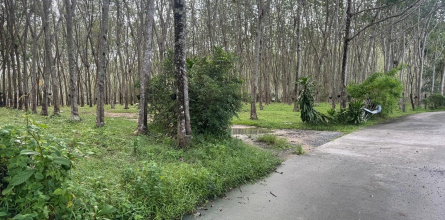 Terrain à Phuket, Thaïlande 11200 m2 № 163643