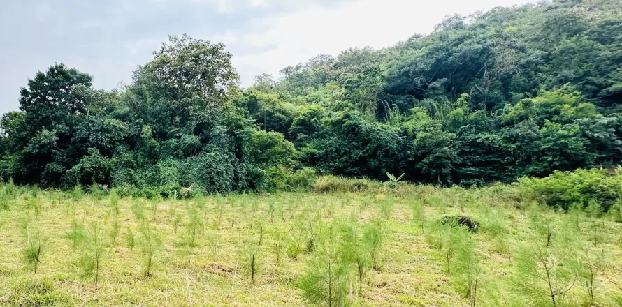 Land in Hua Hin, Thailand 536 sq.m. № 157288