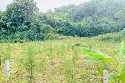 Land in Hua Hin, Thailand 536 sq.m. № 157288 - photo 5