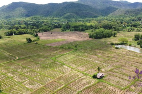 Земельный участок в Чиангмае, Таиланд  № 162606 - фото 2