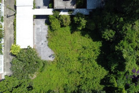 Земельный участок в Чиангмае, Таиланд № 162603 - фото 4