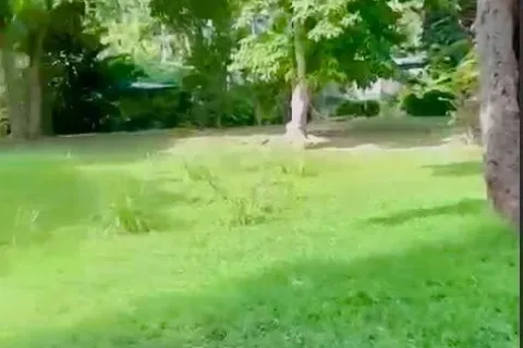 Land in Phuket, Thailand 1420 sq.m. № 148209 - photo 2