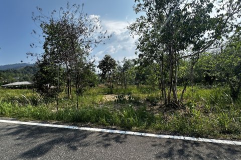 Land in Phuket, Thailand 1600 sq.m. № 173153 - photo 10
