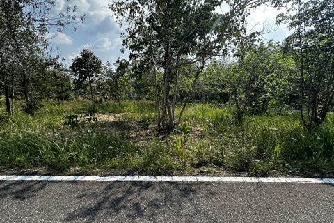 Land in Phuket, Thailand 1600 sq.m. № 173153