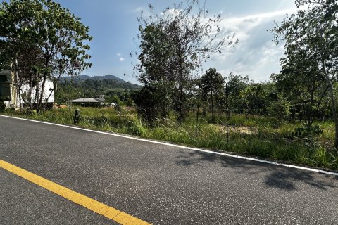 Land in Phuket, Thailand 1600 sq.m. № 173153 - photo 3