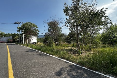 Land in Phuket, Thailand 1600 sq.m. № 173153 - photo 6