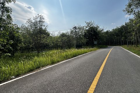 Land in Phuket, Thailand 1600 sq.m. № 173153 - photo 8