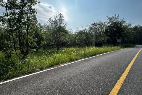 Land in Phuket, Thailand 1600 sq.m. № 173153 - photo 9