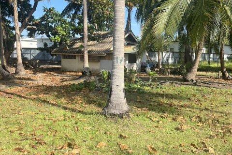 Terrain à Surat Thani, Thaïlande 8000 m2 № 173155 - photo 4