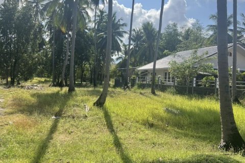 Terrain à Surat Thani, Thaïlande 8000 m2 № 173155 - photo 5