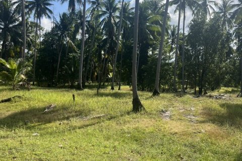 Terrain à Surat Thani, Thaïlande 8000 m2 № 173155 - photo 2