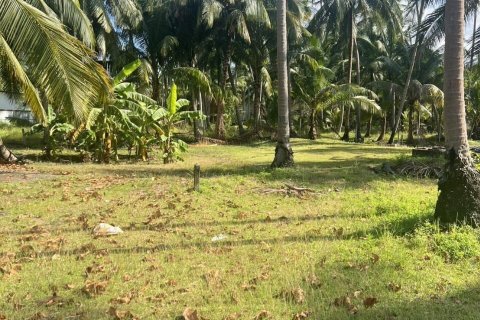 Terrain à Surat Thani, Thaïlande 8000 m2 № 173155