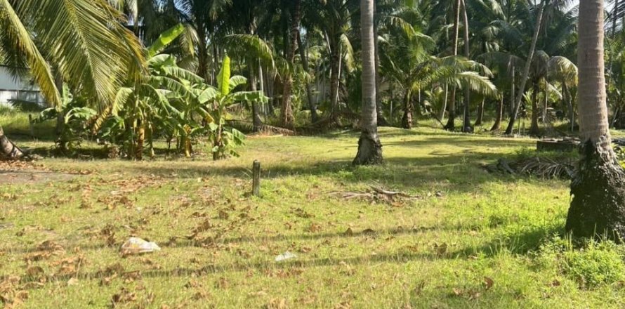 Terrain à Surat Thani, Thaïlande 8000 m2 № 173155