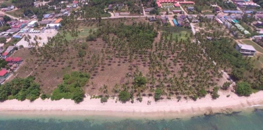 Land in Ko Lanta Yai, Thailand 36800 sq.m. № 168908