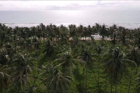 Land in Ko Lanta Yai, Thailand 36800 sq.m. № 168908 - photo 5