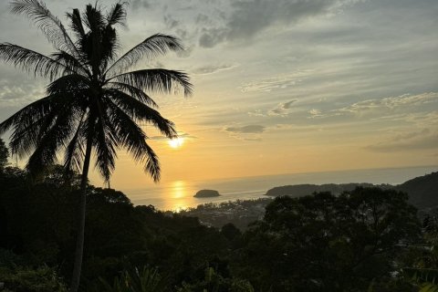 Land in Phuket, Thailand 3200 sq.m. № 168911 - photo 6