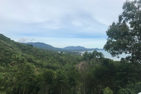 Terrain à Ko Samui, Thaïlande 11200 m2 № 147628 - photo 3