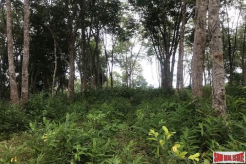 Land in Ko Kaeo, Thailand 33600 sq.m. № 193690 - photo 4