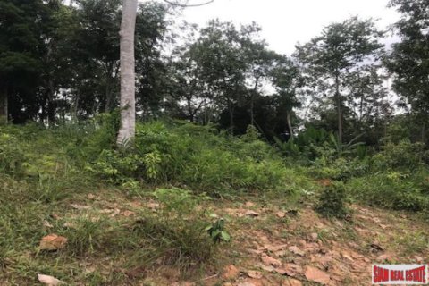 Land in Ko Kaeo, Thailand 33600 sq.m. № 193690 - photo 3