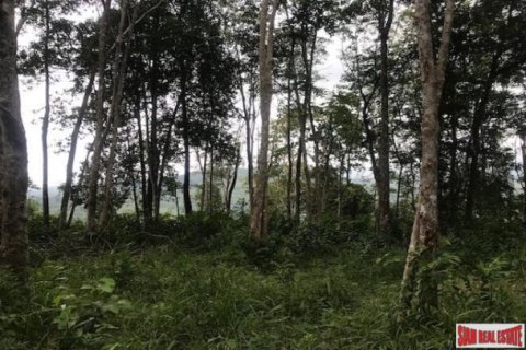 Land in Ko Kaeo, Thailand 33600 sq.m. № 193690 - photo 5