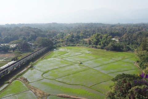 Земельный участок в Чиангмае, Таиланд  № 162650 - фото 6