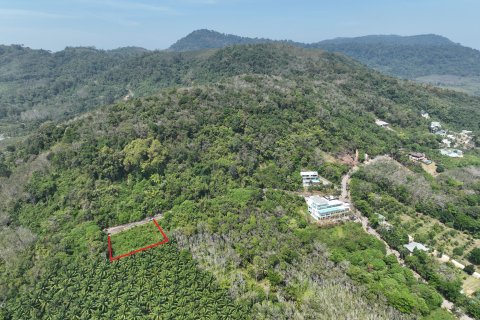 Terrain à Pa Klok, Thaïlande 1600 m2 № 163338 - photo 4