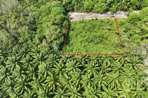 Terrain à Pa Klok, Thaïlande 1600 m2 № 163338 - photo 6