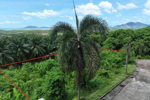 Terrain à Pa Klok, Thaïlande 1600 m2 № 163338 - photo 9